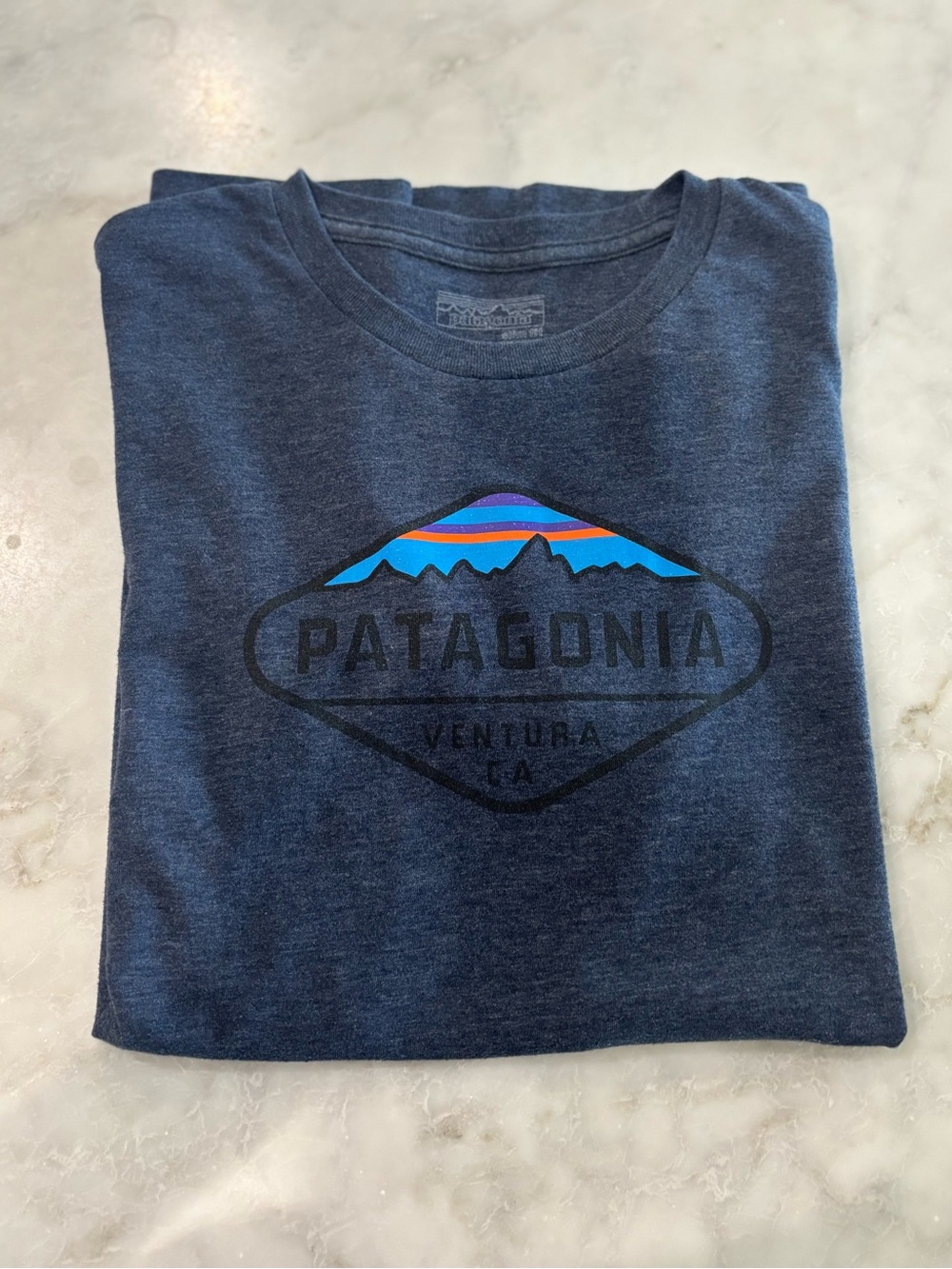 Patagonia Navy Short Sleeve Logo Tee with Multicolor Mountain Graphic